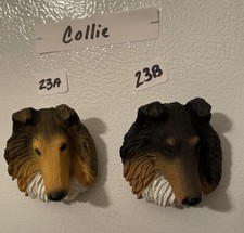 Red Or Tri Colored Collie Dog