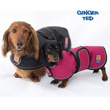 Ginger Ted Waterproof