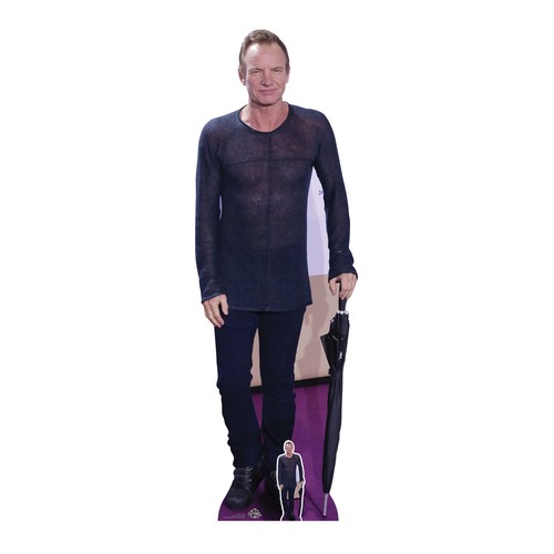 Sting musician lifesize - sting,