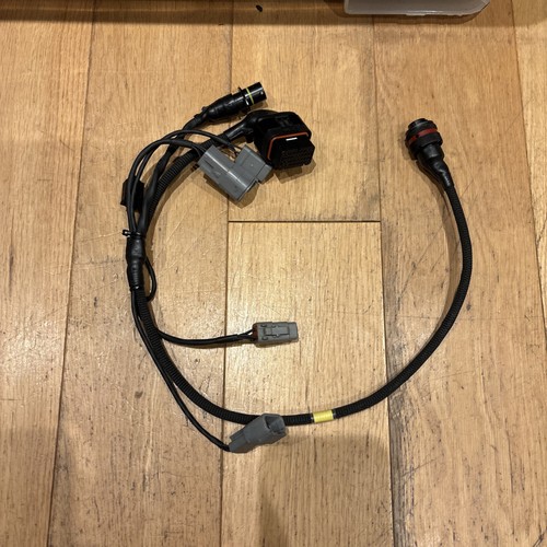 Motec c125 wiring loom - ,