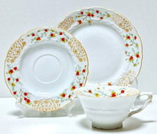 Zeh-Scherzer Porcelain 50th
