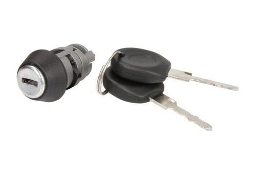 Steering wheel lock insert