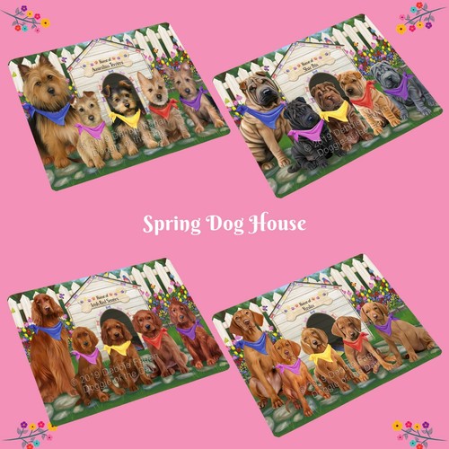 Spring dog house refrigerator - spring,