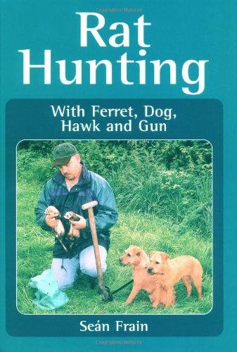 Rat hunting with - rat, hunting: