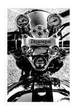 Triumph Motorcycles mounted