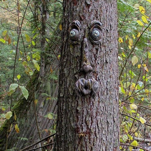 1pack tree face - 1pack,