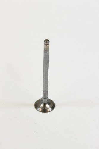 Exhaust valve for - exhaust,