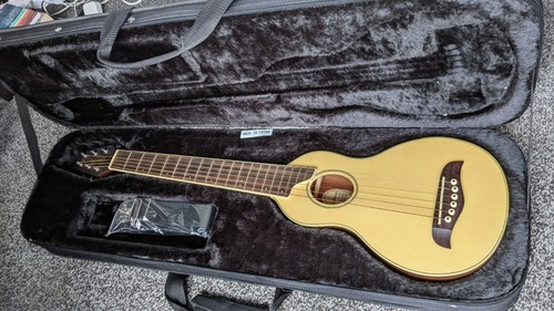 Acoustic washburn rover - acoustic, travel