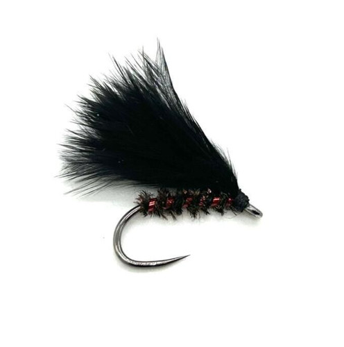 Red holo cormorant - 6,