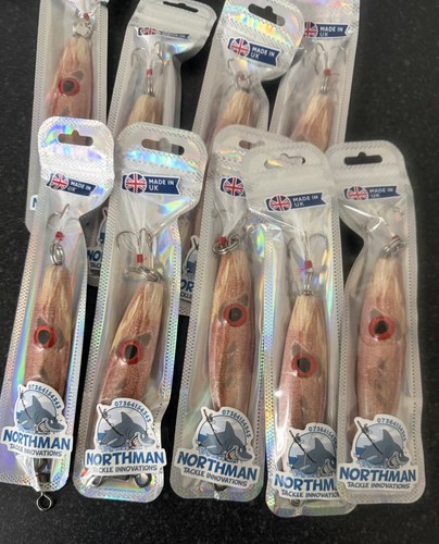 100g big eye squid - big,