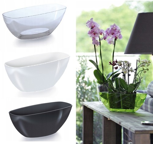 Plant orchid pot - plant, plastic