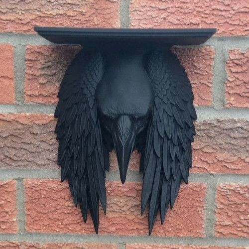 Raven wings wall - wings,