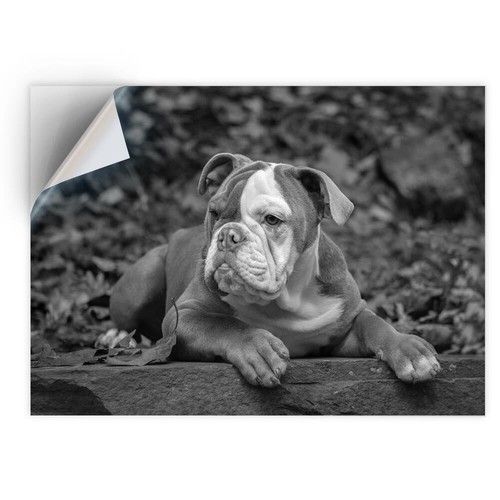Vinyl sticker bw - a4,