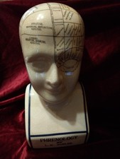 Phrenology Head 12" L.N Fowler Ceramic Crackle Glaze Ornament Figurine Bust