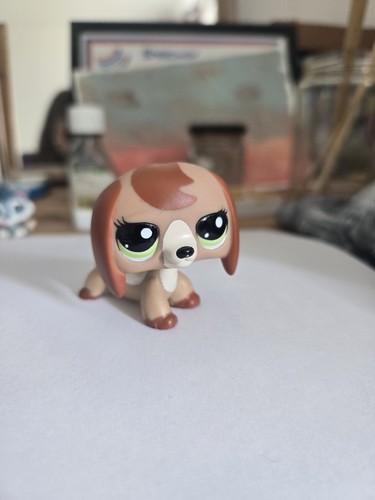 Authentic lps littlest pet - authentic,