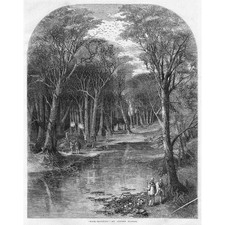 HUNTING Rook Shooting by