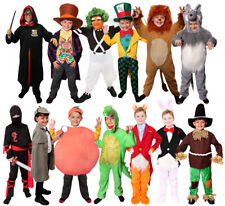 BOYS BOOK CHARACTER COSTUMES WORLD BOOK DAY CHILDS FANCY DRESS PARTY OUTFIT LOT