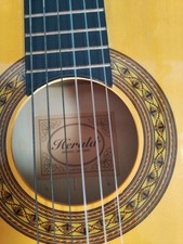 Herald HL34 Classical Acoustic