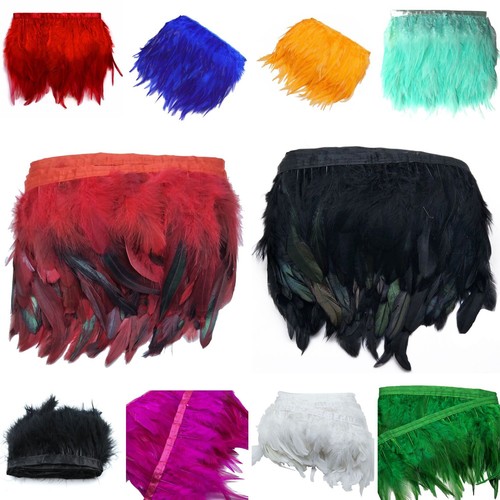 Rooster tail feathers many - rooster,