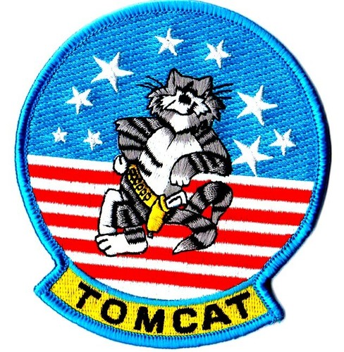Tomcat navy fighter - tomcat,