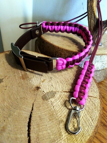 Handmade dog collar - dog, &