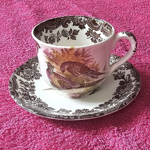 Palissy royal worcester - by,