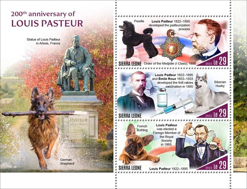 Louis pasteur dogs poodle - pasteur,