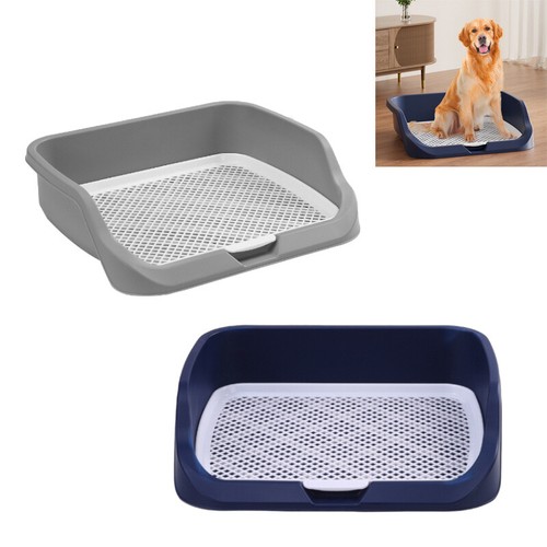 Large puppy training trainer - puppy,