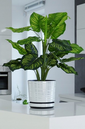 White plastic flower plant - plastic,