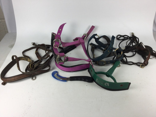 Misc horse tack x - horse,