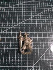 Darl Elf Champion Marauder