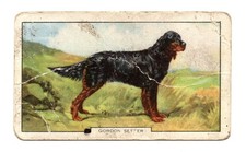 Gallaher Cigarette Card -