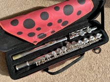 Unbranded Flute in Lovely