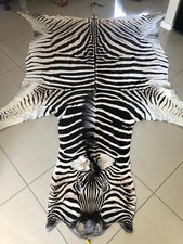 Burchell's Zebra animal rug. Genuine grade A African animal skin.