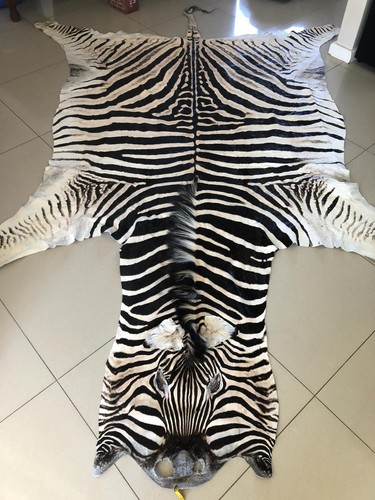 Burchell zebra animal rug - burchell's,