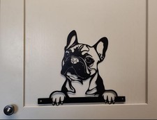 Peeking Boston Terrier Dog