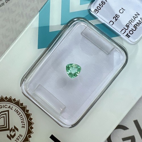 Igi certified paraiba - certified,