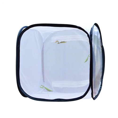 Foldable insect butterfly - foldable,