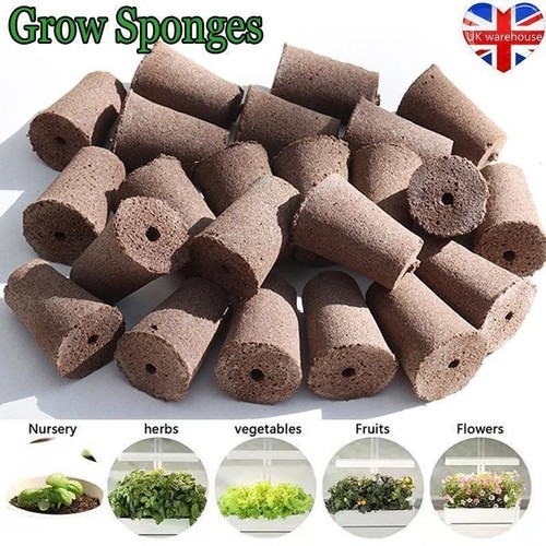 Grow sponges for hydroponic - grow,