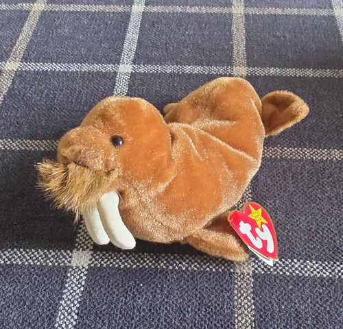 Beanie babies paul walrus - beanie,