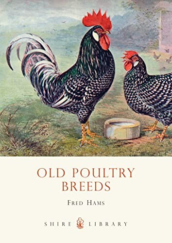Old poultry breeds shire - old,