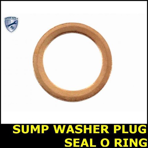 Sump washer plug - plug, ring