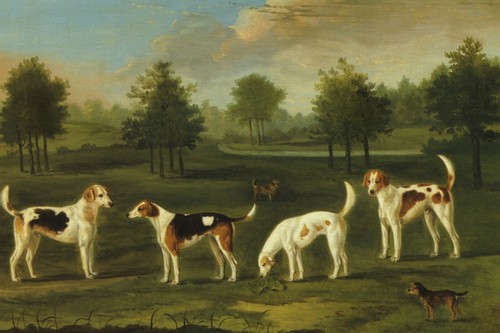 Two couple hounds and - couple, of