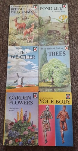 Ladybird books series 536 - ladybird,