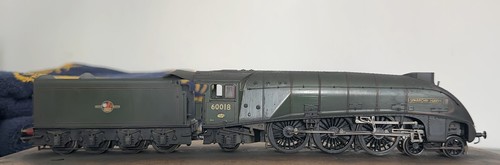 Hornby sparrow hawk - sparrow, oo