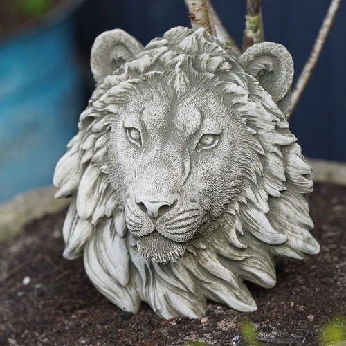 Lion head bust hanging plaque - bust,