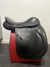 Martin Gulliver 17 Inch Show