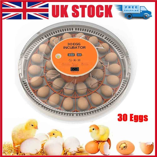 Automatic digital 30eggs - automatic,
