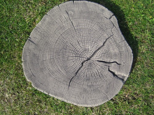 Garden stepping stones - stepping,