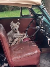 morris minor 1000 convertible
